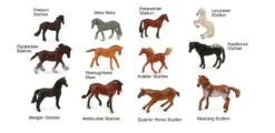 COLLECTA MINI SET DE 12 CHEVAUX (7-11CM) -Bébé Produits Vente collecta mini set de 12 chevaux 7 11cm 2