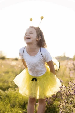 GREAT PRETENDERS DÉGUISEMENT ABEILLE AILES / JUPE / SERRE-TÊTE 4-7ANS 8 GREAT PRETENDERS DÉGUISEMENT ABEILLE AILES / JUPE / SERRE-TÊTE 4-7ANS -Bébé Produits Vente great pretenders deguisement abeille ailes jupe se 1