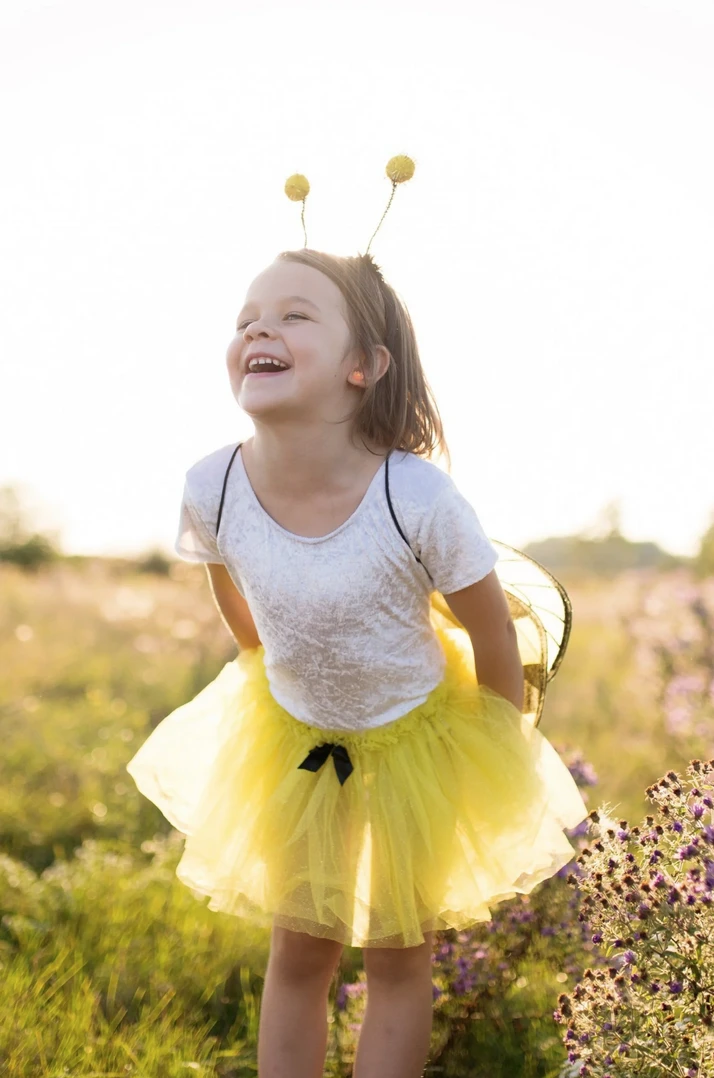 GREAT PRETENDERS DÉGUISEMENT ABEILLE AILES / JUPE / SERRE-TÊTE 4-7ANS 3 GREAT PRETENDERS DÉGUISEMENT ABEILLE AILES / JUPE / SERRE-TÊTE 4-7ANS – Image 3