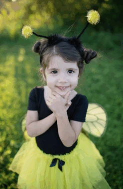 GREAT PRETENDERS DÉGUISEMENT ABEILLE AILES / JUPE / SERRE-TÊTE 4-7ANS 11 GREAT PRETENDERS DÉGUISEMENT ABEILLE AILES / JUPE / SERRE-TÊTE 4-7ANS -Bébé Produits Vente great pretenders deguisement abeille ailes jupe se 4