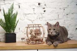 UGEARS MAQUETTE MÉCANIQUE - AQUARIUM -Bébé Produits Vente ugears maquette mecanique aquarium 4